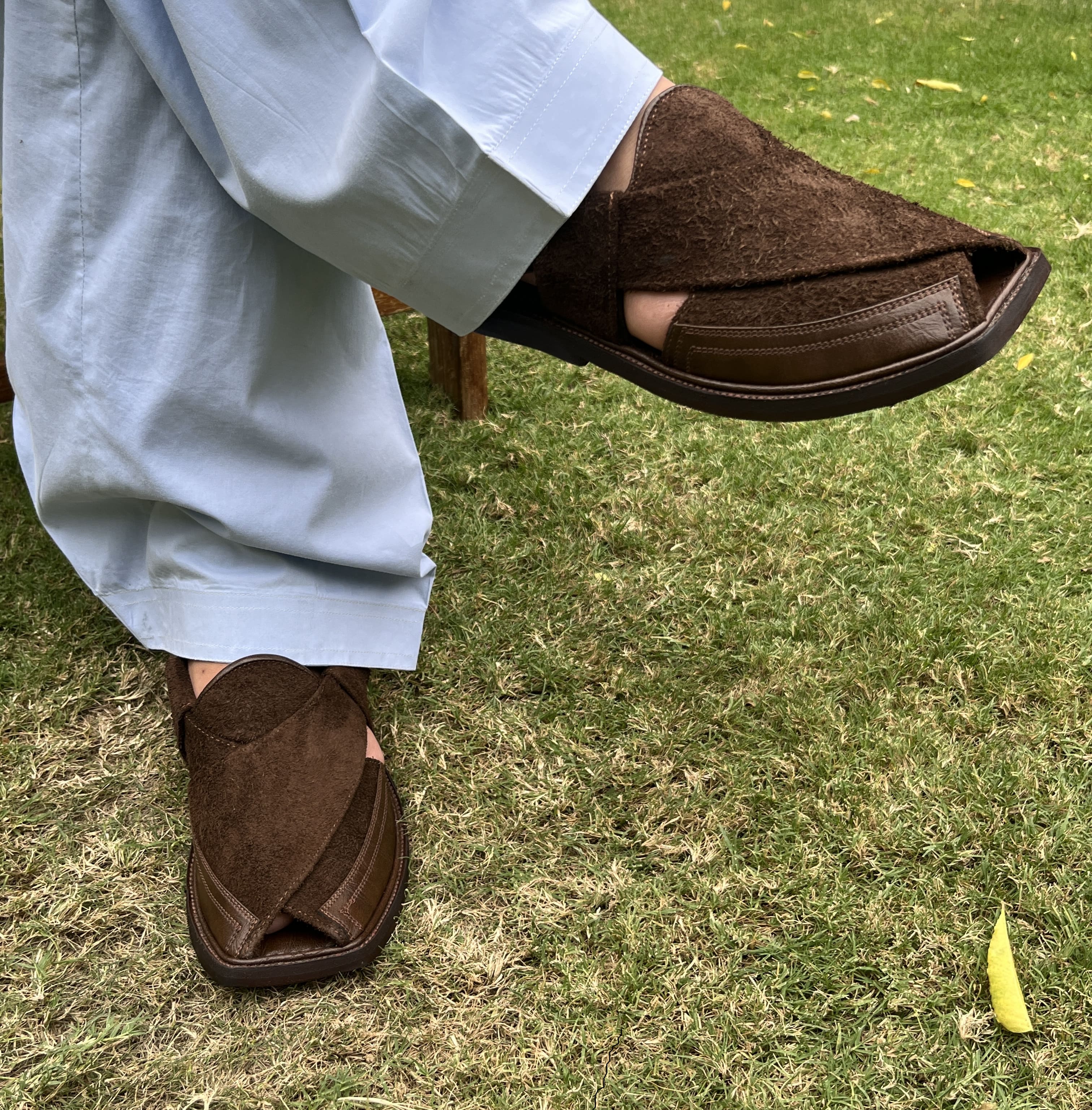 Sang Sarhang, Chocolate Brown